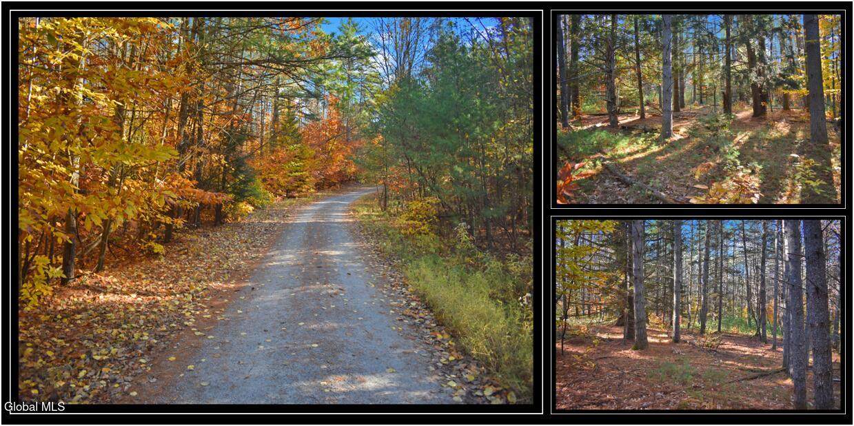 L7 Macglashan Lane - Photo 1