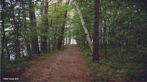 6 Garlyn Drive - Photo 1