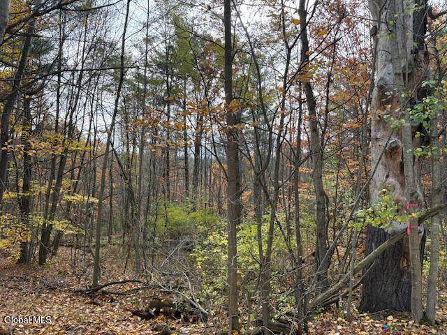 954A Route 9N - Photo 1