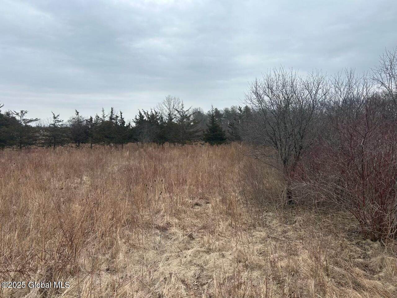 97 Hillside Drive - Photo 1