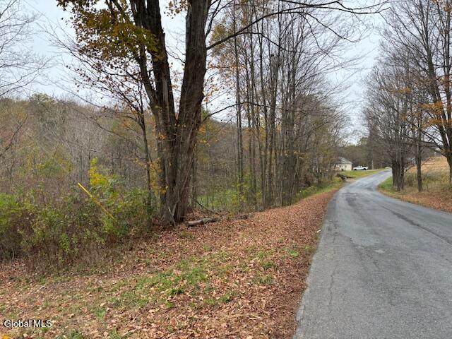 L24.1 Darfler Lane - Photo 1