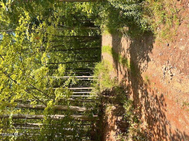 L7.41 Summit Lake Road - Photo 1