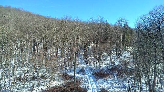 L1 Peakville Road - Photo 1