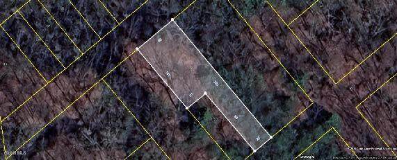 115 Amherst Avenue - Photo 1