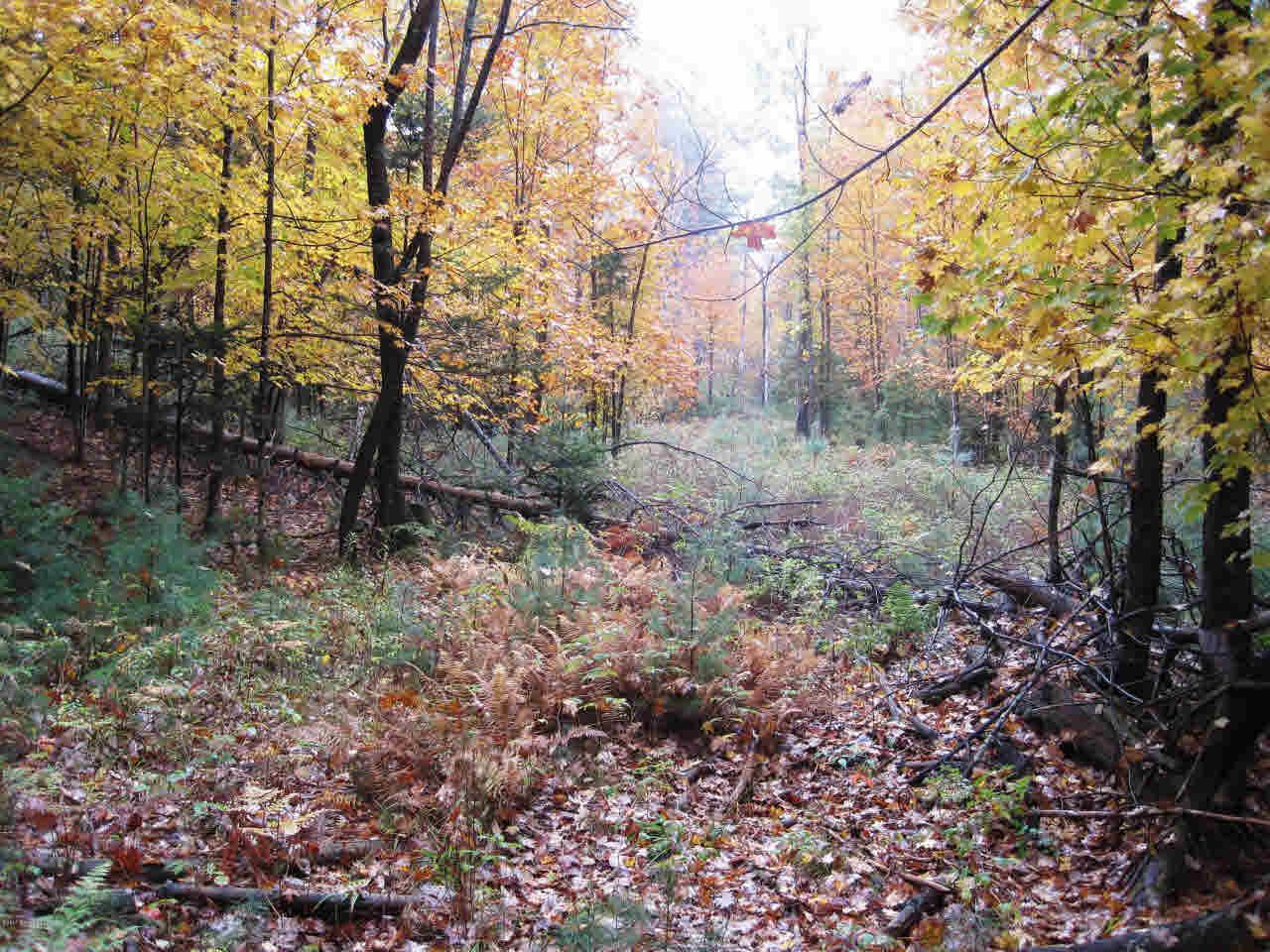 3087 North Gore Road - Photo 1