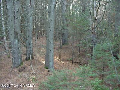 0 Pottersville Rd - Photo 1