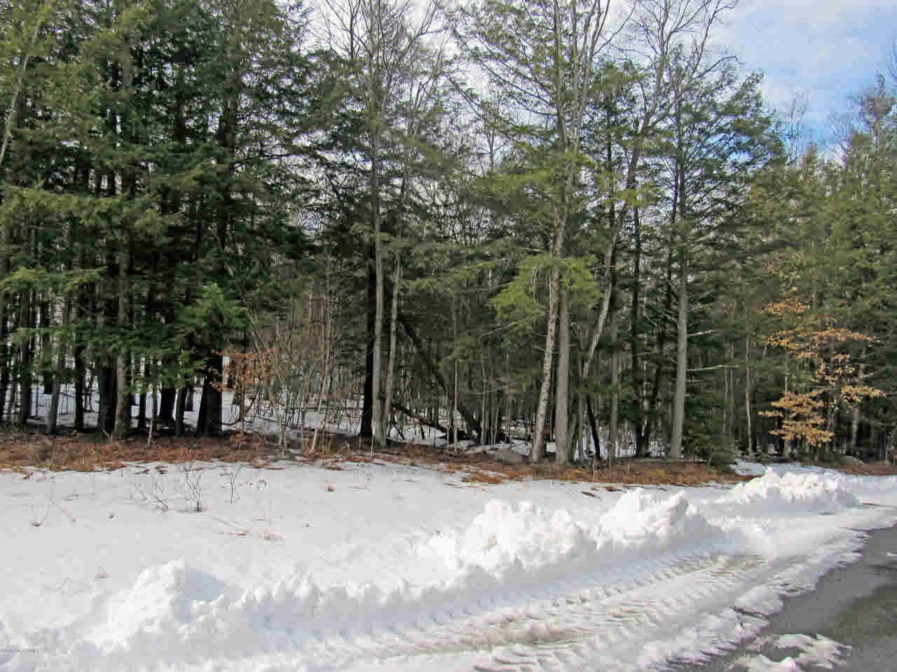 74 Watershed Drive - Photo 1