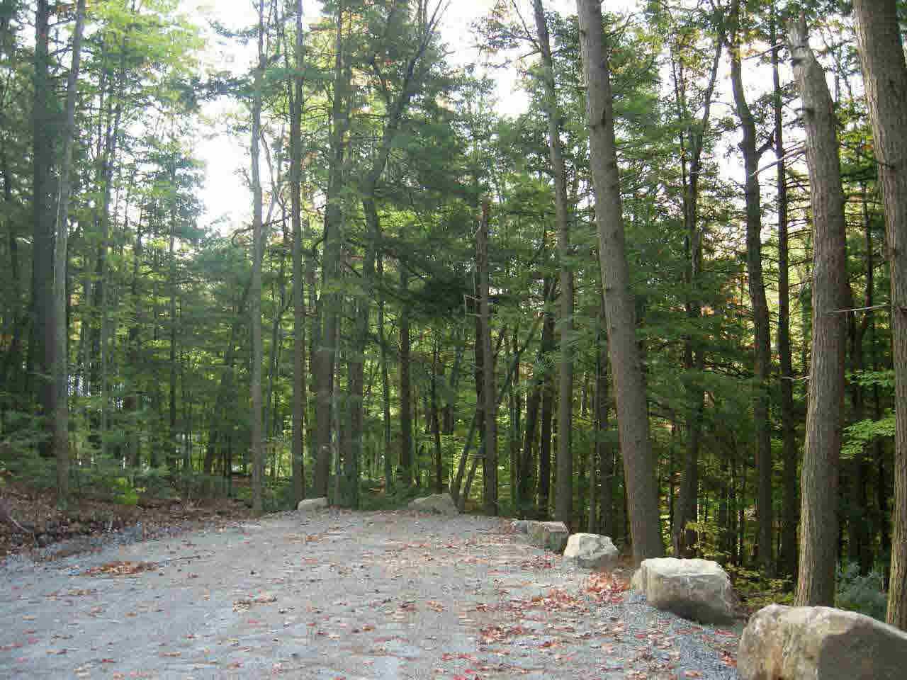 Lot 3 Kingsley Ln - Photo 1