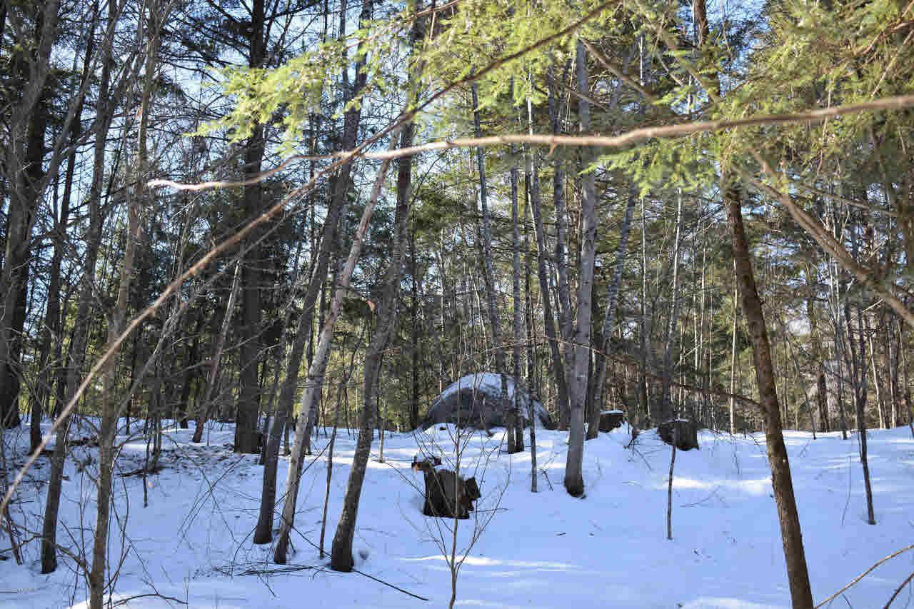 51 Carriage Rd - Photo 1