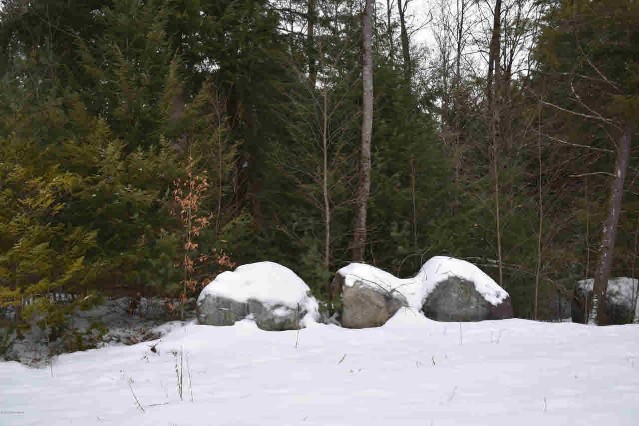 60 Carriage Rd - Photo 1