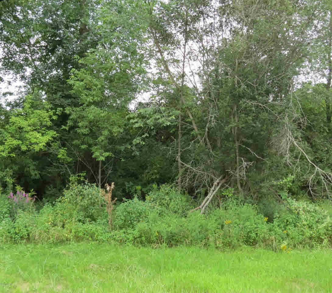 01 State Route 197 - Photo 1