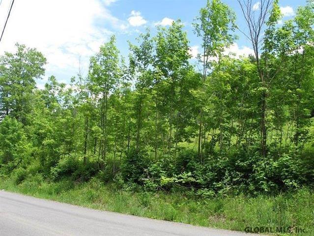 0 Guinea Rd - Photo 1