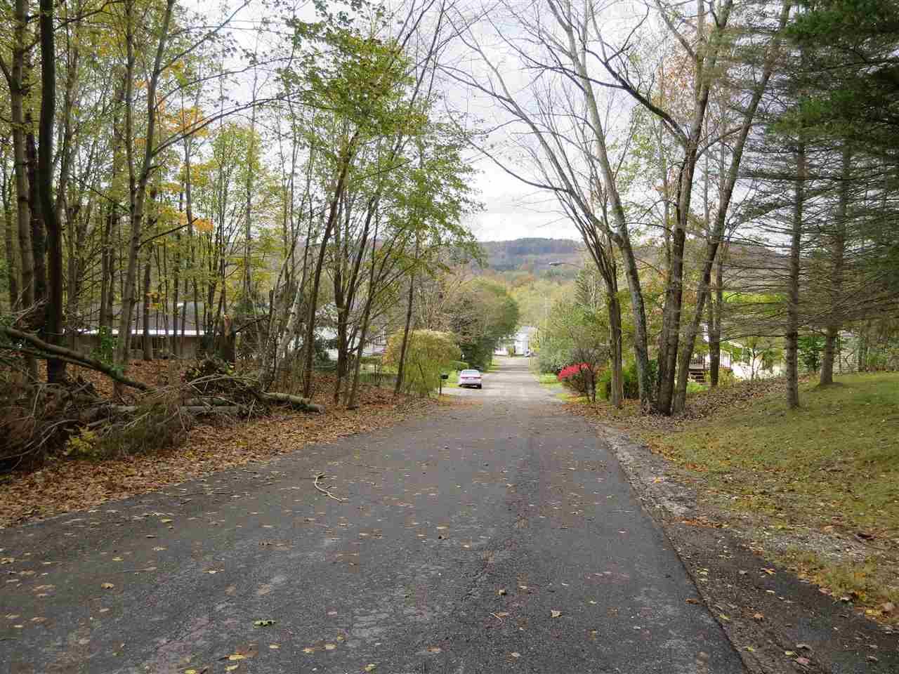 0 Webster Av - Photo 1