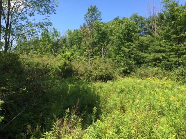 Lot 8 Turnbull Rd - Photo 1