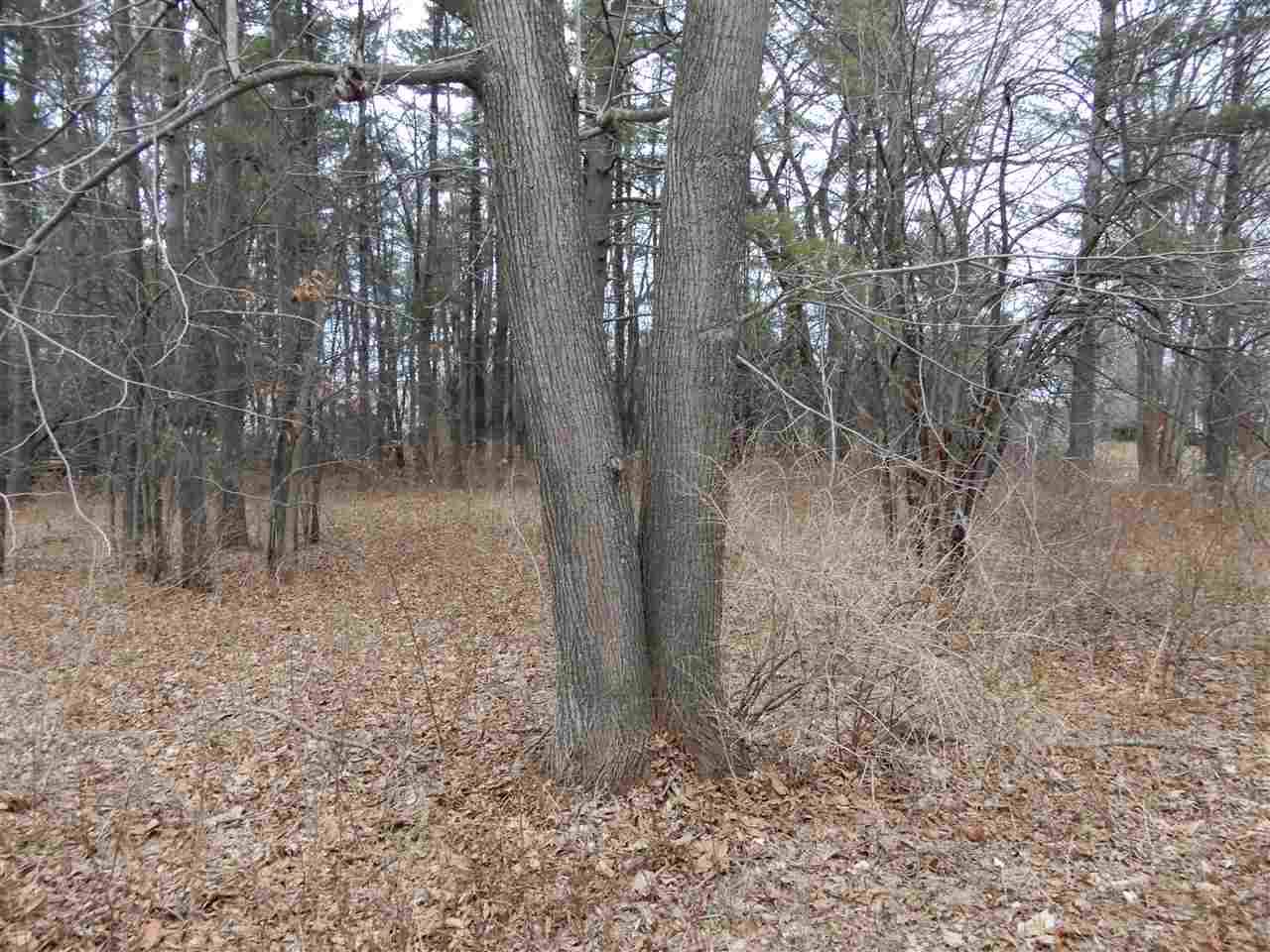198 Normanskill Rd - Photo 1