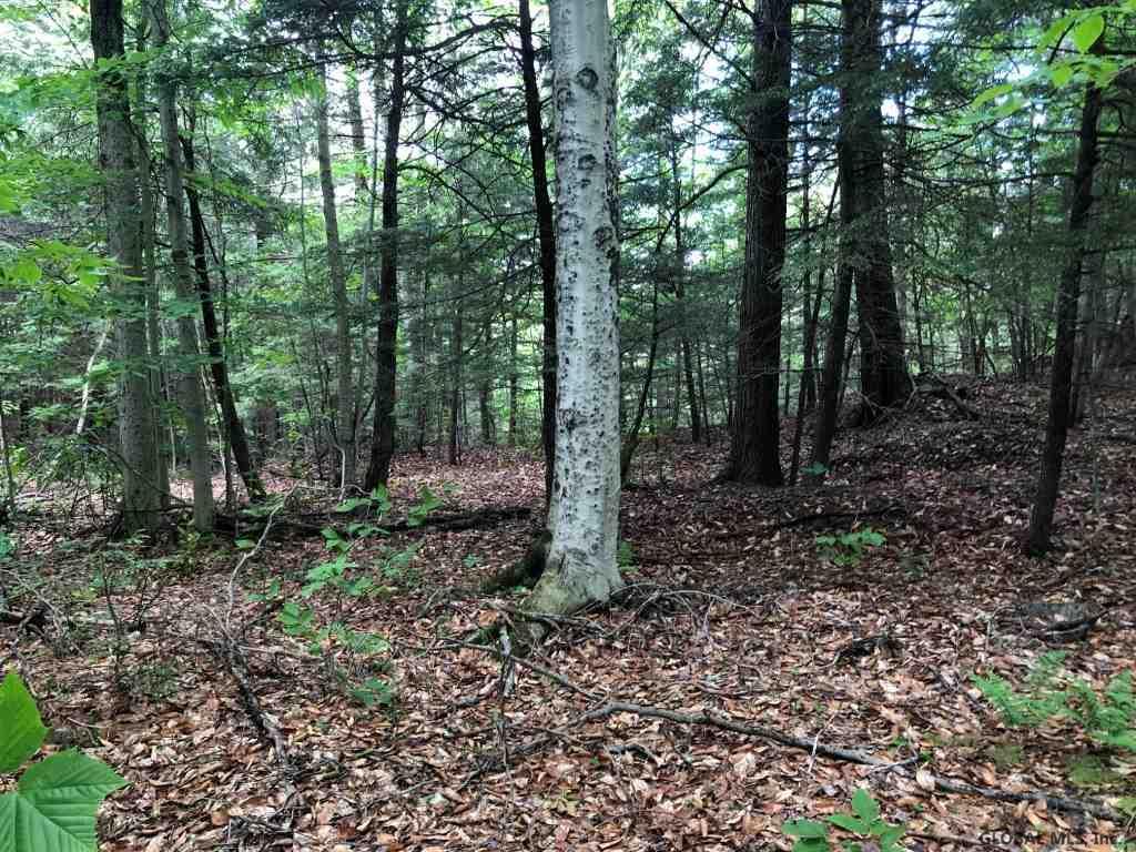 x Broome Center Rd - Photo 1