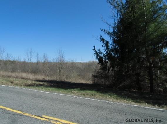 11565-11643 Mariaville Rd - Photo 1