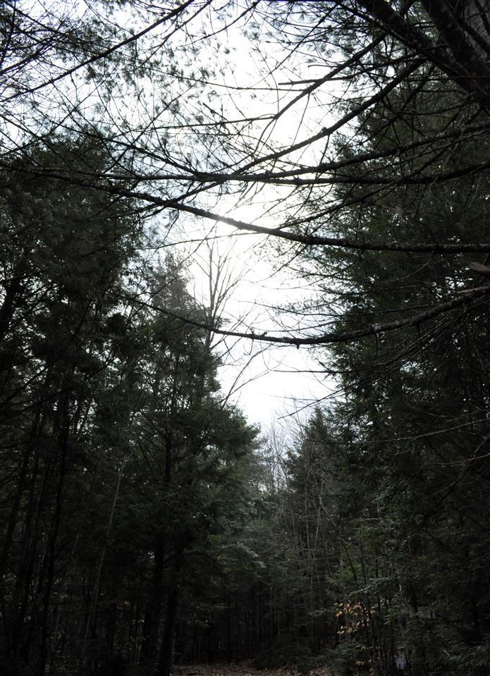 53 Pine Notch Rd - Photo 1
