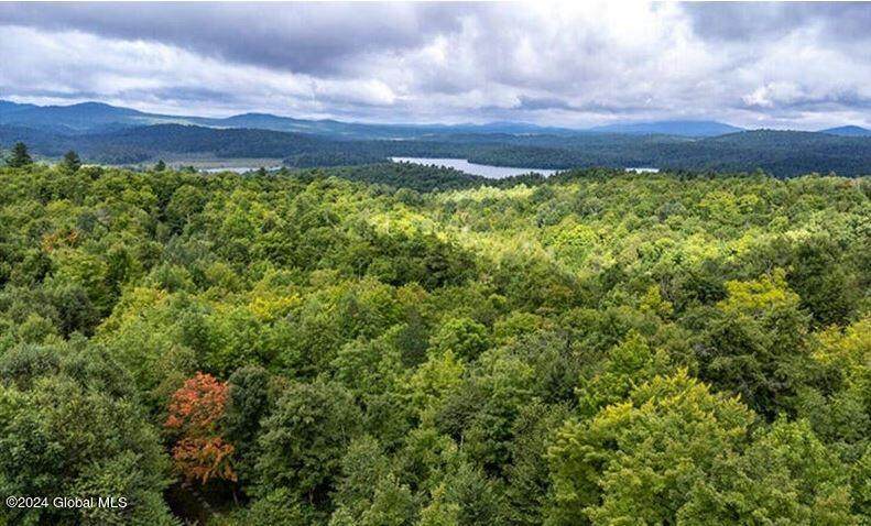 63 Palisade Parkway - Photo 1