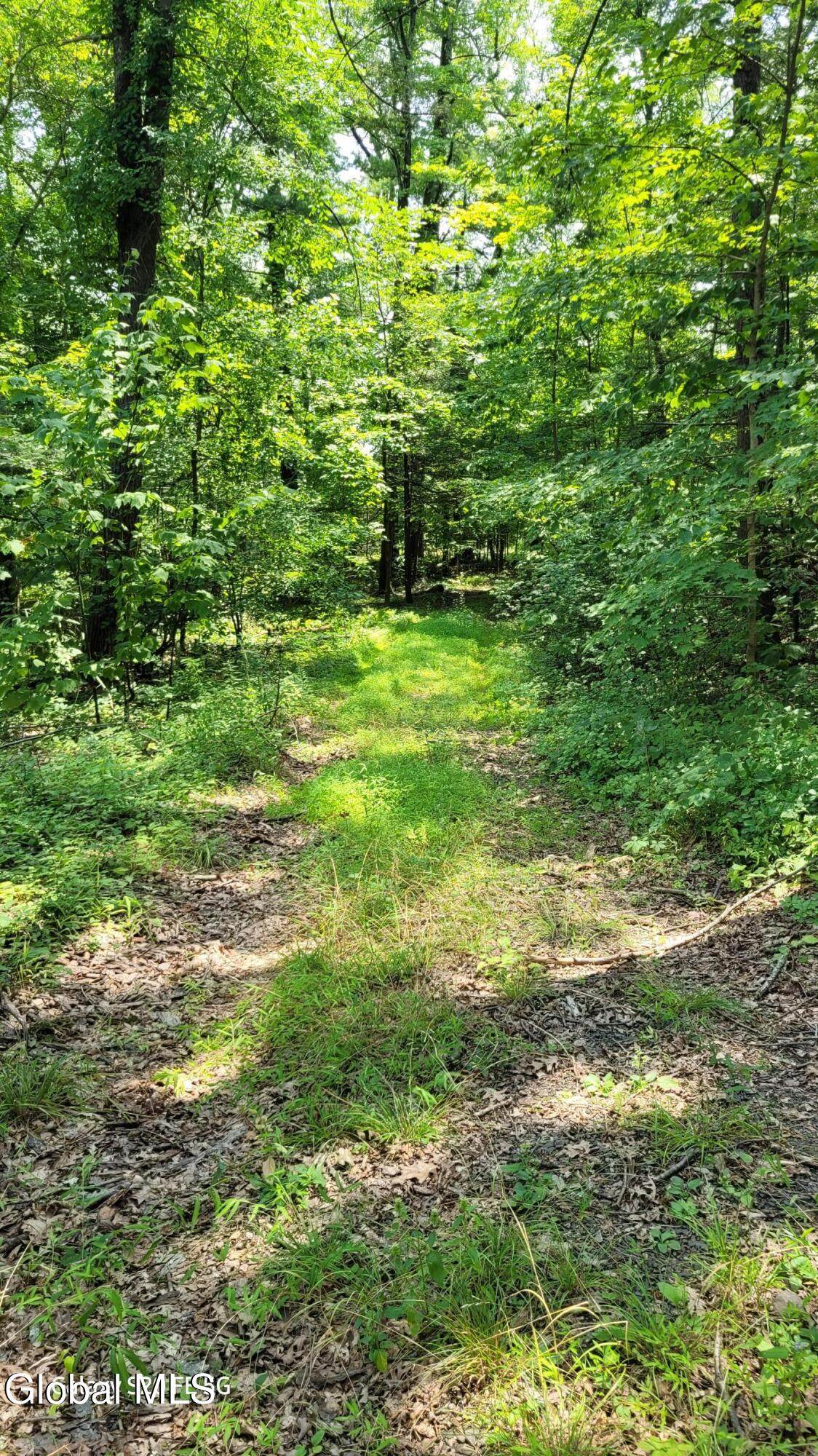 https://bt-photos.global.ssl.fastly.net/capital/1280_boomver_2_202522218-2.jpg