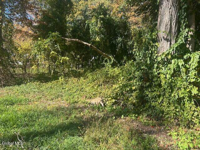 L12 Jane Drive - Photo 1