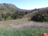 2517 Encinal Canyon Rd - Photo 1