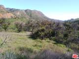 2517 Encinal Canyon Rd - Photo 3
