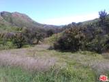 2517 Encinal Canyon Rd - Photo 4