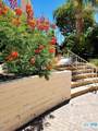 2600 Palm Canyon Dr - Photo 3