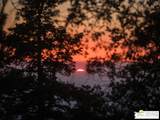 52352 Pine Ridge Rd - Photo 75