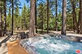 42450 Juniper Dr - Photo 63