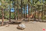 42450 Juniper Dr - Photo 66