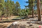 42450 Juniper Dr - Photo 67