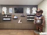 70875 Dillon Rd - Photo 40