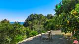 28827 Grayfox St - Photo 48