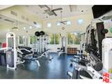 16673 Calle Haleigh - Photo 31