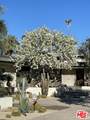 40471 Sand Dune Rd - Photo 4
