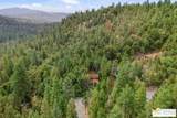 53615 Silver Fir Dr - Photo 48