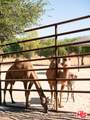 38831 Pauba Rd - Photo 48