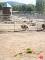 38831 Pauba Rd - Photo 50