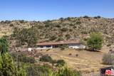 2903 Golden Spur Rd - Photo 5