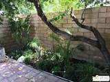 1751 Sandalwood Dr - Photo 28
