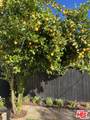 7540 Quimby Ave - Photo 29
