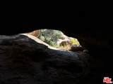 585 Box Canyon Vly - Photo 6