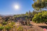 34136 Mulholland Hwy - Photo 40