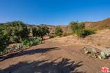 34136 Mulholland Hwy - Photo 41