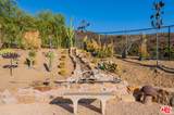 34136 Mulholland Hwy - Photo 49