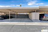 266 Via Escuela - Photo 44