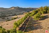 7351 Happy Canyon Rd - Photo 23