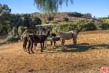 7351 Happy Canyon Rd - Photo 43